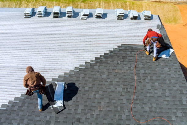 Best Best Roofing Contractors  in Delisle, MS