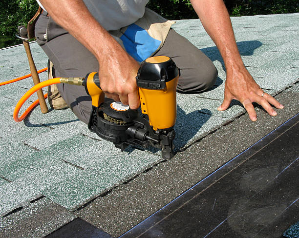 Best Local Roofing Companies  in Delisle, MS