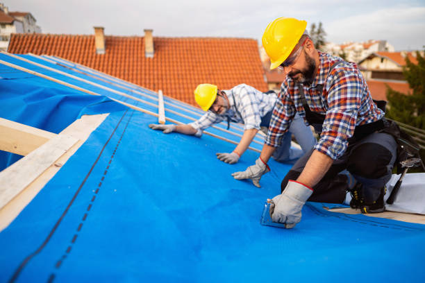 Gutter Installation and Roofing in Delisle, MS