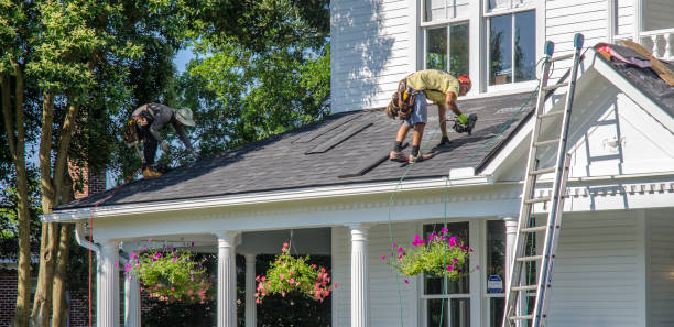 Best Roof Gutter Cleaning  in Delisle, MS
